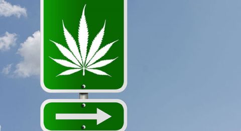 marijuana-legalna-ontario